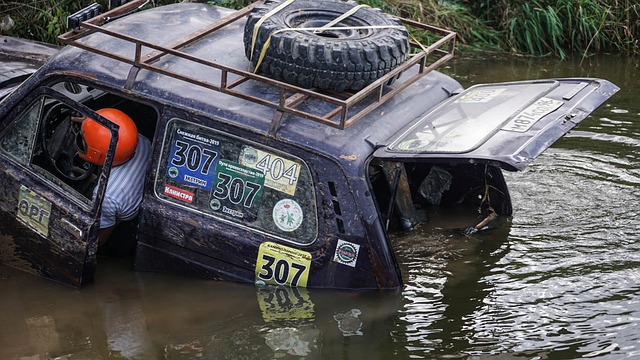 仅展示了河 仅展示了河