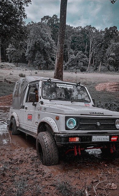 对中国女足 对中国女足