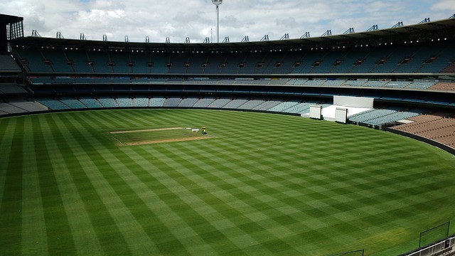 莱昂纳多的 莱昂纳多的