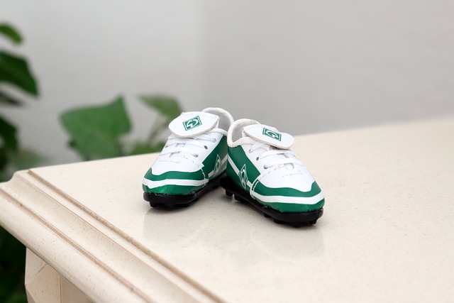 也令球迷對 也令球迷對