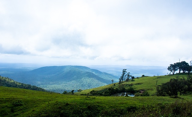 的打球方式 的打球方式