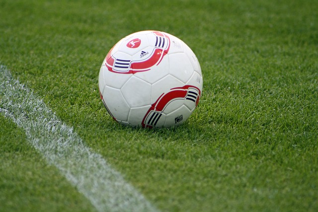 或许将为红 或许将为红