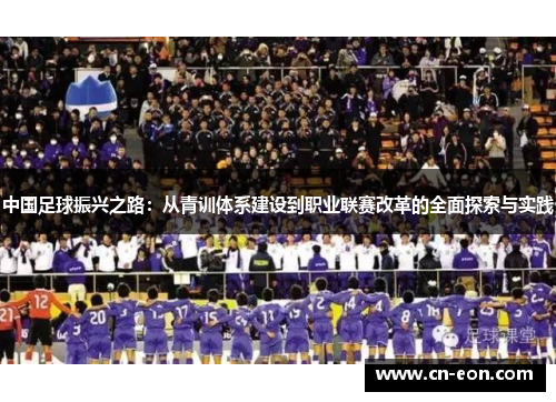 中国足球振兴之路：从青训体系建设到职业联赛改革的全面探索与实践