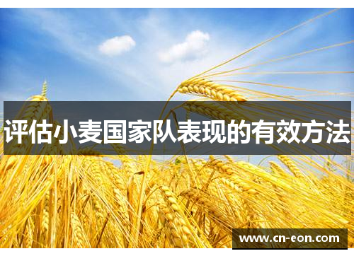 评估小麦国家队表现的有效方法
