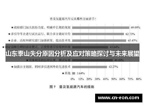 山东泰山失分原因分析及应对策略探讨与未来展望