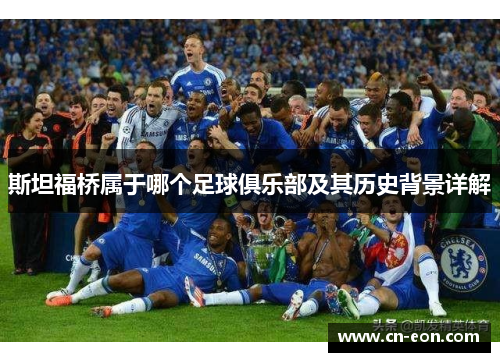 斯坦福桥属于哪个足球俱乐部及其历史背景详解