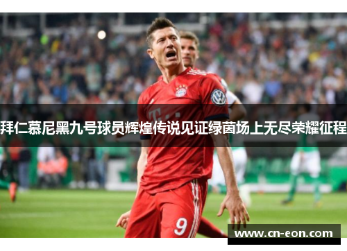 拜仁慕尼黑九号球员辉煌传说见证绿茵场上无尽荣耀征程