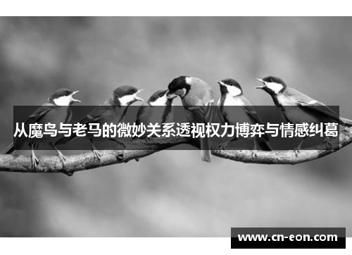 从魔鸟与老马的微妙关系透视权力博弈与情感纠葛
