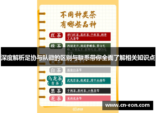 深度解析足协与队徽的区别与联系带你全面了解相关知识点